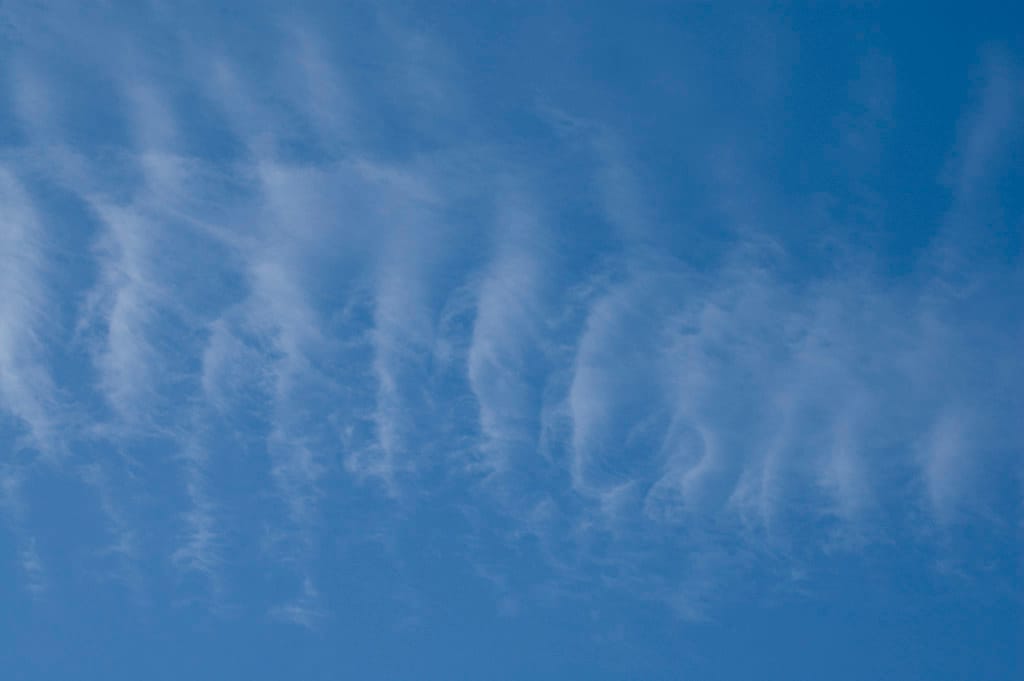 Let's rock! Zebra cake saporita